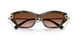 81343B - Brown - Brown Gradient