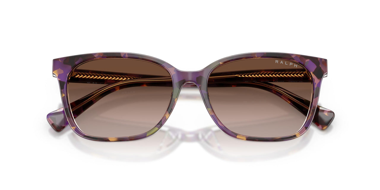 630313 - Tortoise - Gradient Brown