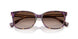 630313 - Tortoise - Gradient Brown