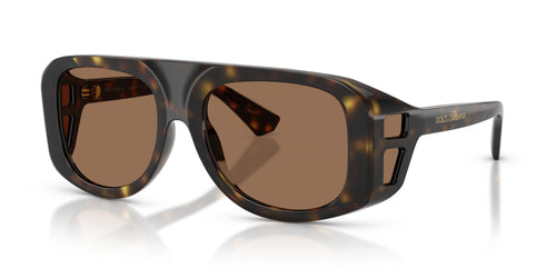 502/73 - Tortoise - Dark Brown