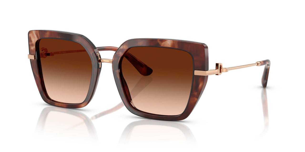 322274 - Tortoise - Brown Gradient