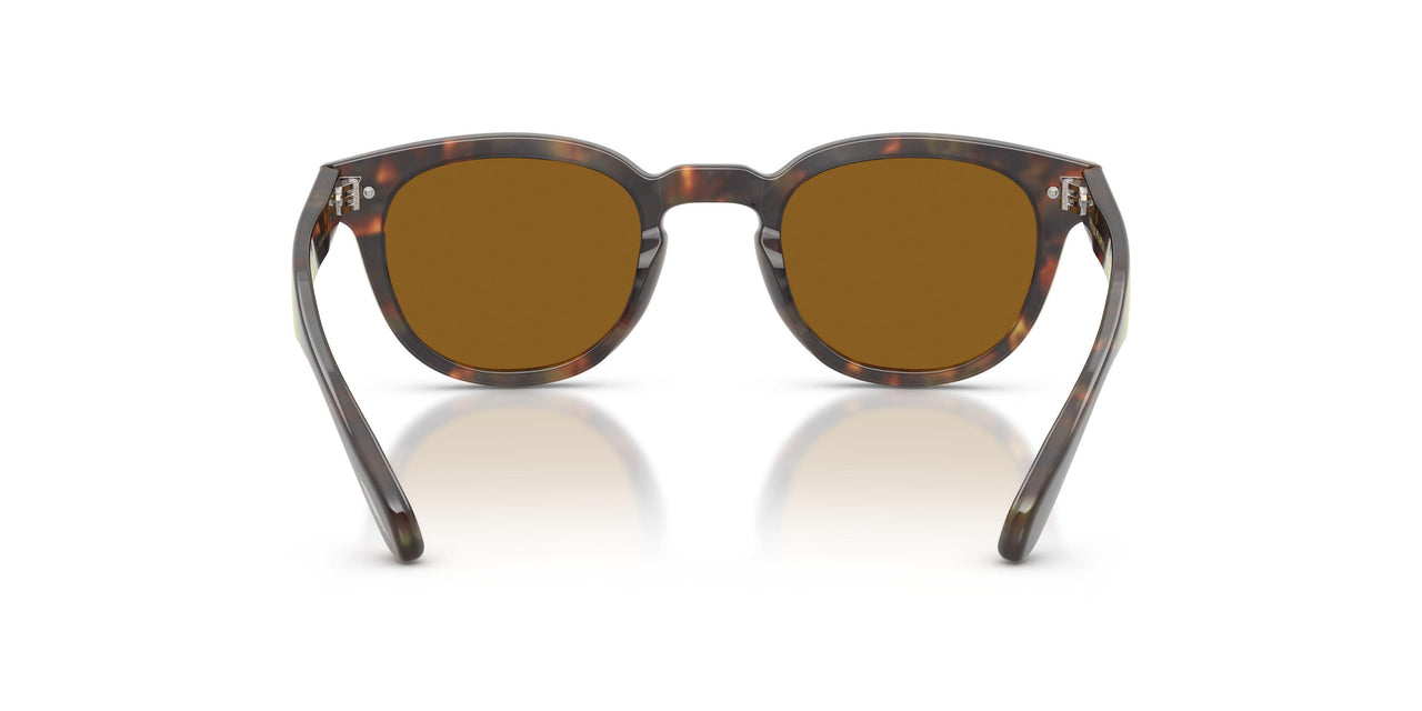180153 - Brown - True Brown