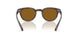 180153 - Brown - True Brown