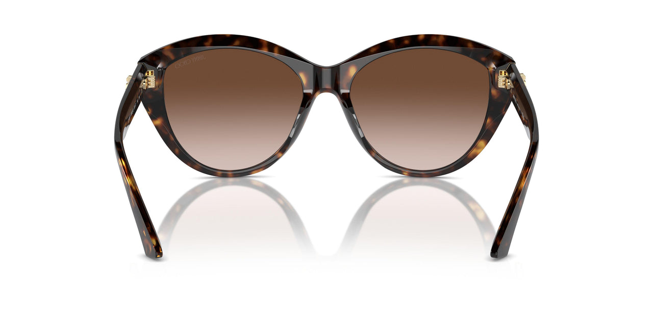 500213 - Tortoise - Gradient Brown