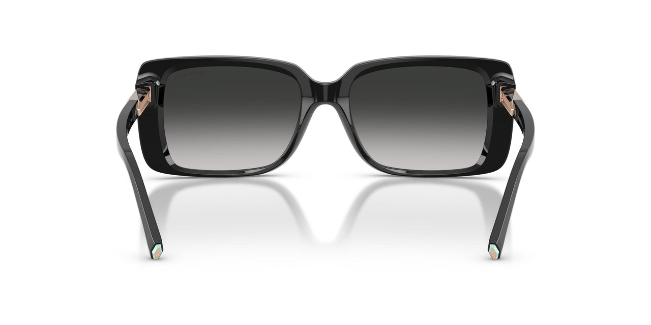 80013C - Black - Grey Gradient