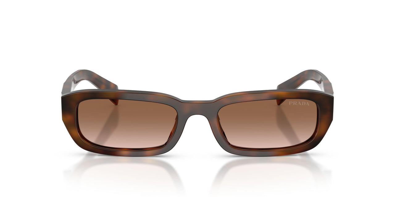 20D90P - Tortoise - Brown Gradient