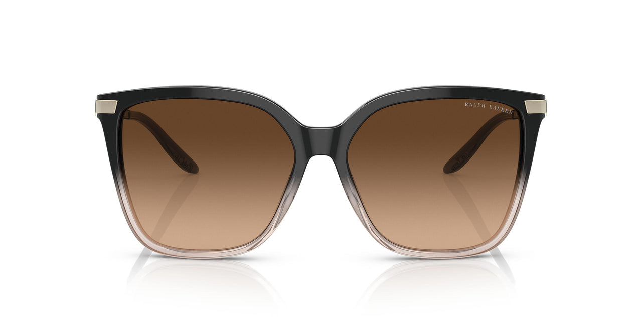 602274 - Black - Brown Gradient