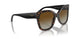 W656T5 - Brown - Brown Gradient Polar