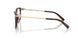 8421 - Brown