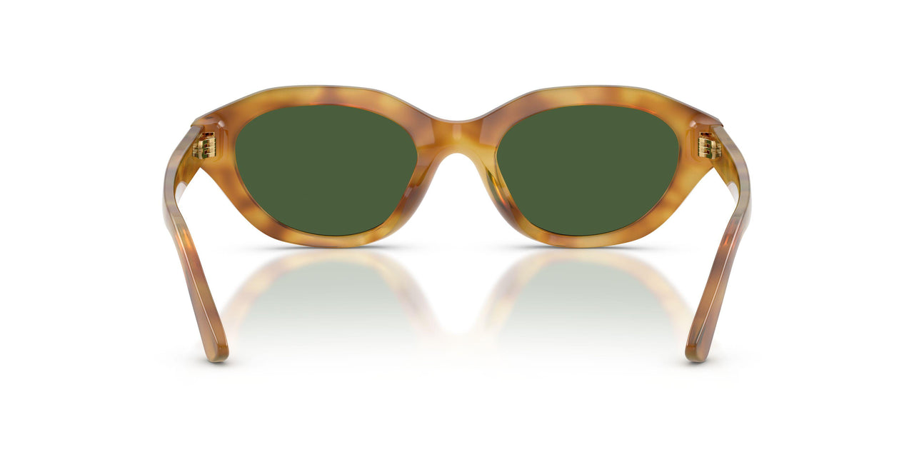 618571 - Tortoise - Dark Green