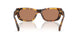 14L20D - Tortoise - Solid Brown