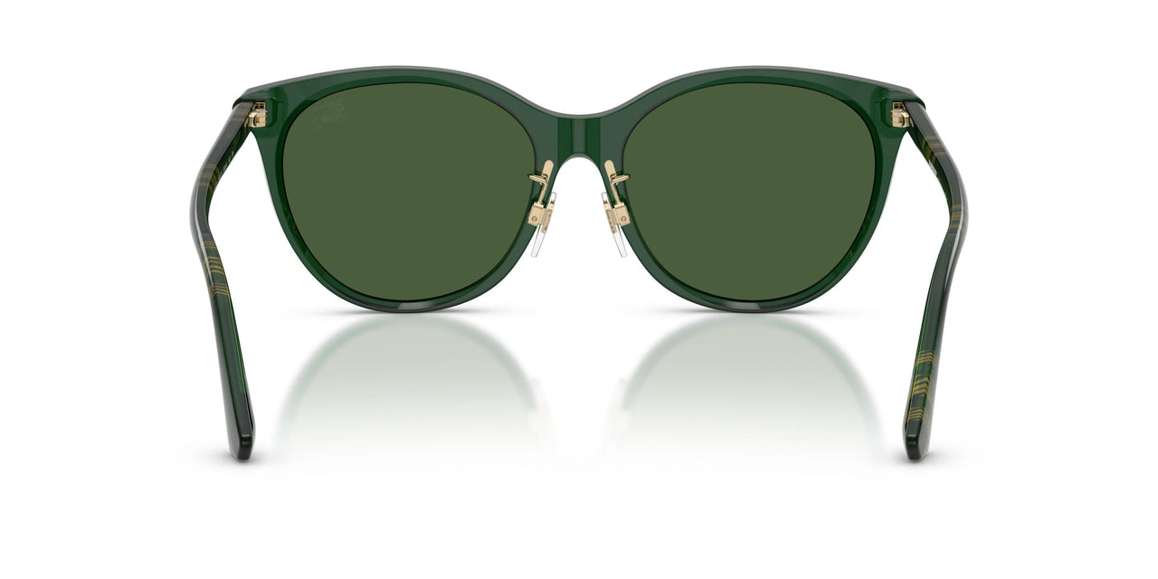 416271 - Green - Dark Green