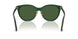 416271 - Green - Dark Green