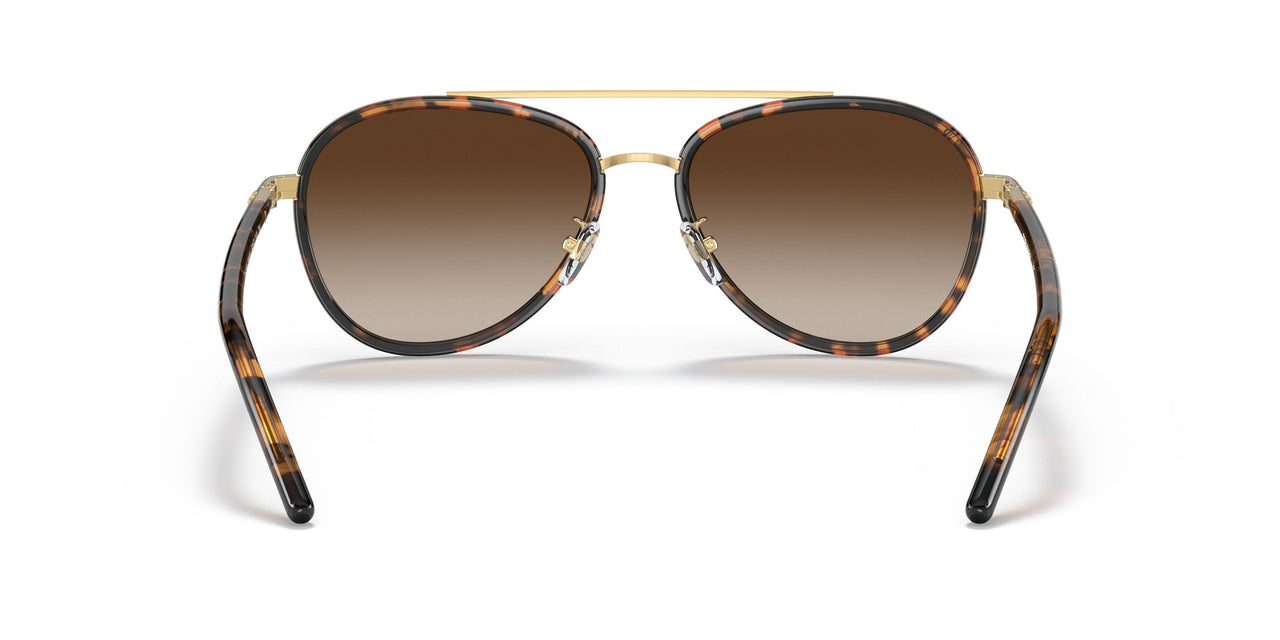 330413 - Havana - Brown Gradient