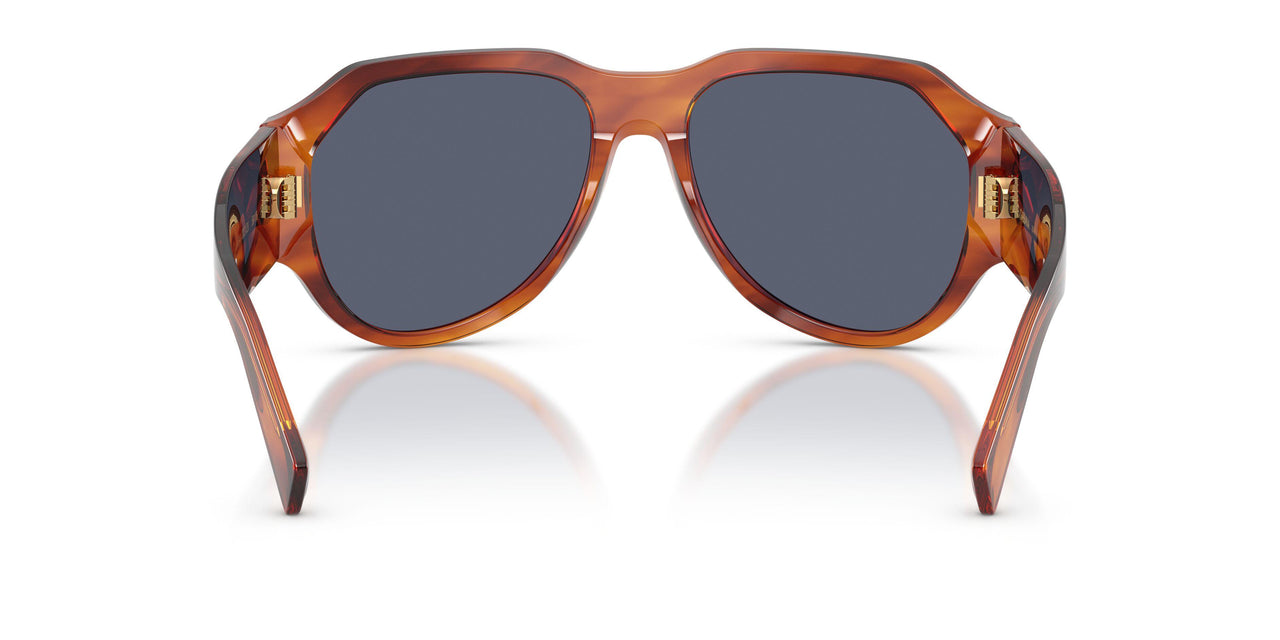 32212V - Brown - Dark Blue Polar