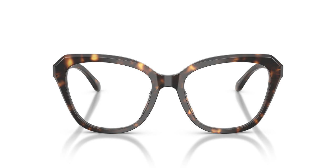 5120 - Tortoise