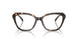 5120 - Tortoise
