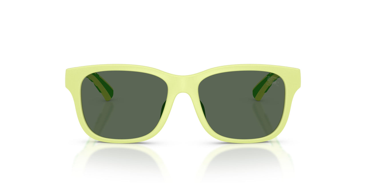 423771 - Green - Dark Green