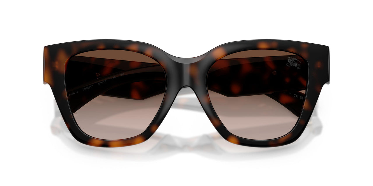 300213 - Brown - Brown Gradient