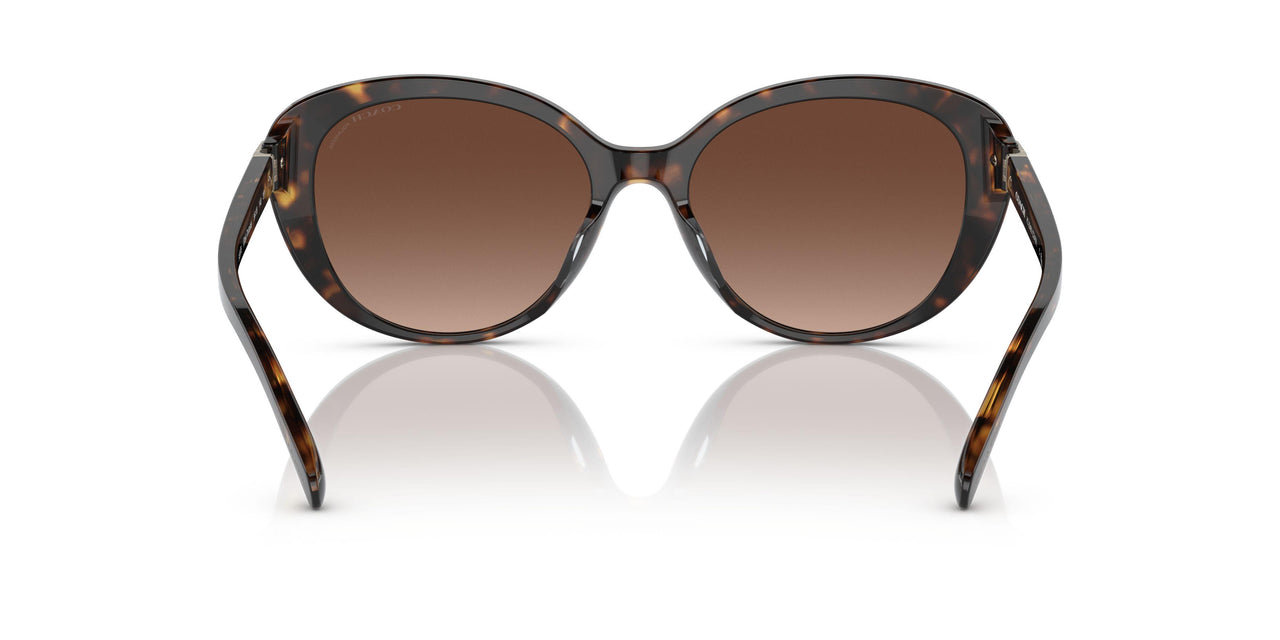 5120T5 - Havana - Brown Gradient Polar
