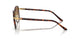 112651 - Gold - Gradient Brown