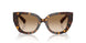 300289 - Brown - Brown Gradient
