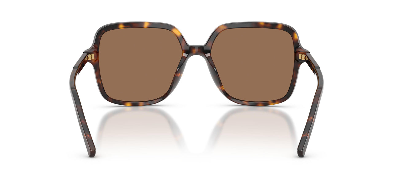 502/73 - Tortoise - Dark Brown