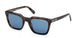 Guess 00279 Sunglasses