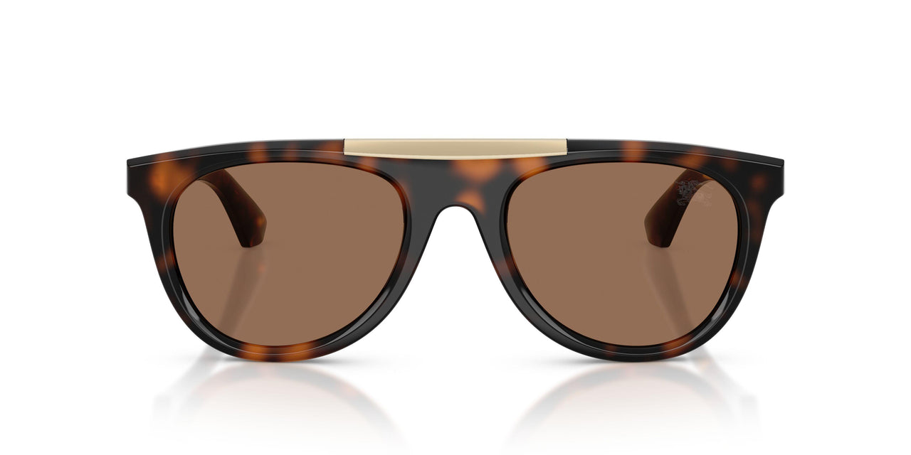 300273 - Brown - Dark Brown