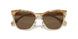 194973 - Brown - Dark Brown