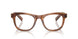 25O1O1 - Brown