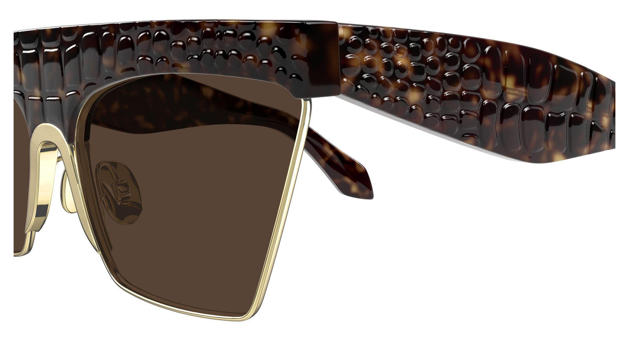 002 - Havana - Brown