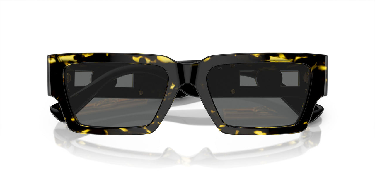 542887 - Tortoise - Dark Grey
