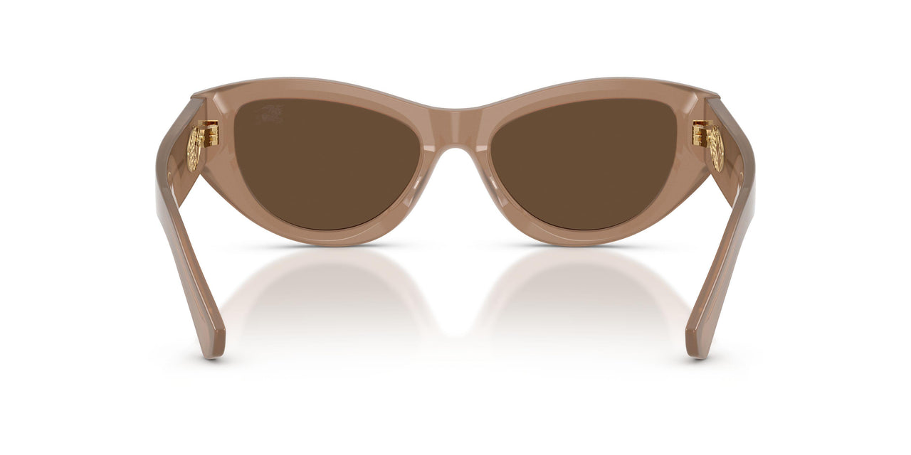 425873 - Beige - Dark Brown