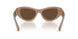 425873 - Beige - Dark Brown