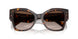 502/13 - Tortoise - Gradient Brown