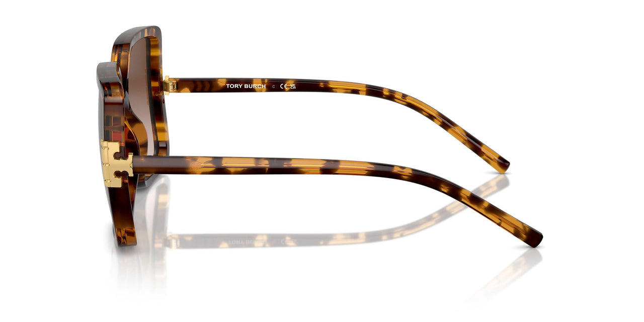 199213 - Tortoise - Light Brown Gradient