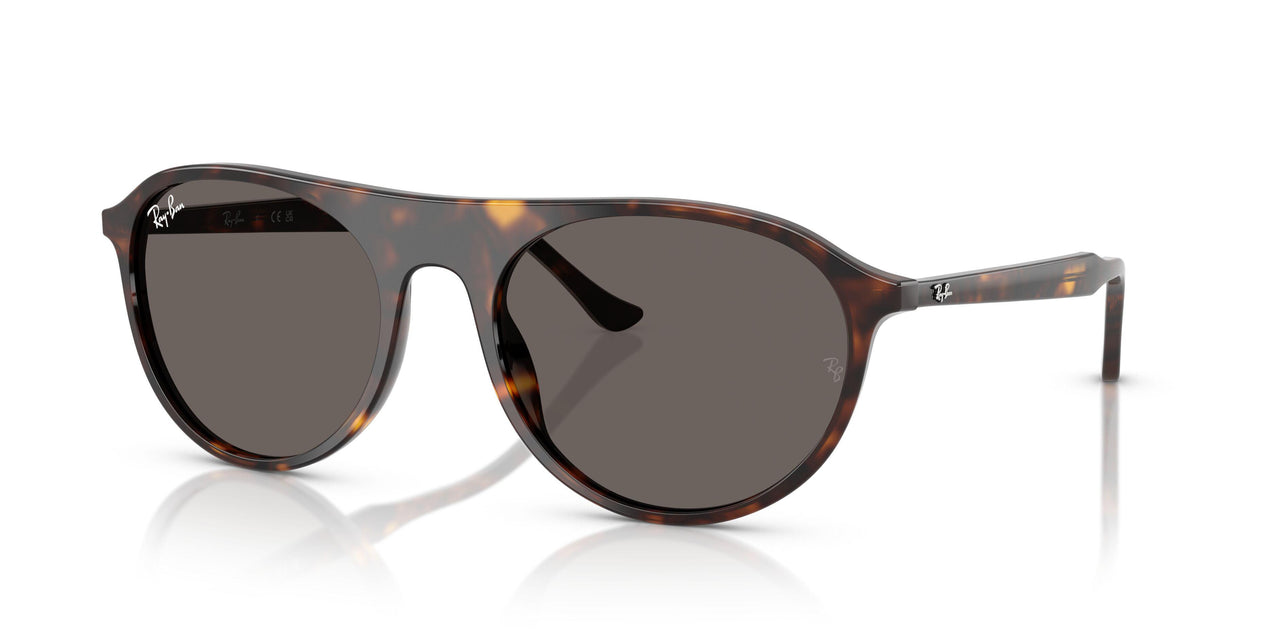 902/B1 - Tortoise - Dark Grey