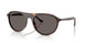 902/B1 - Tortoise - Dark Grey