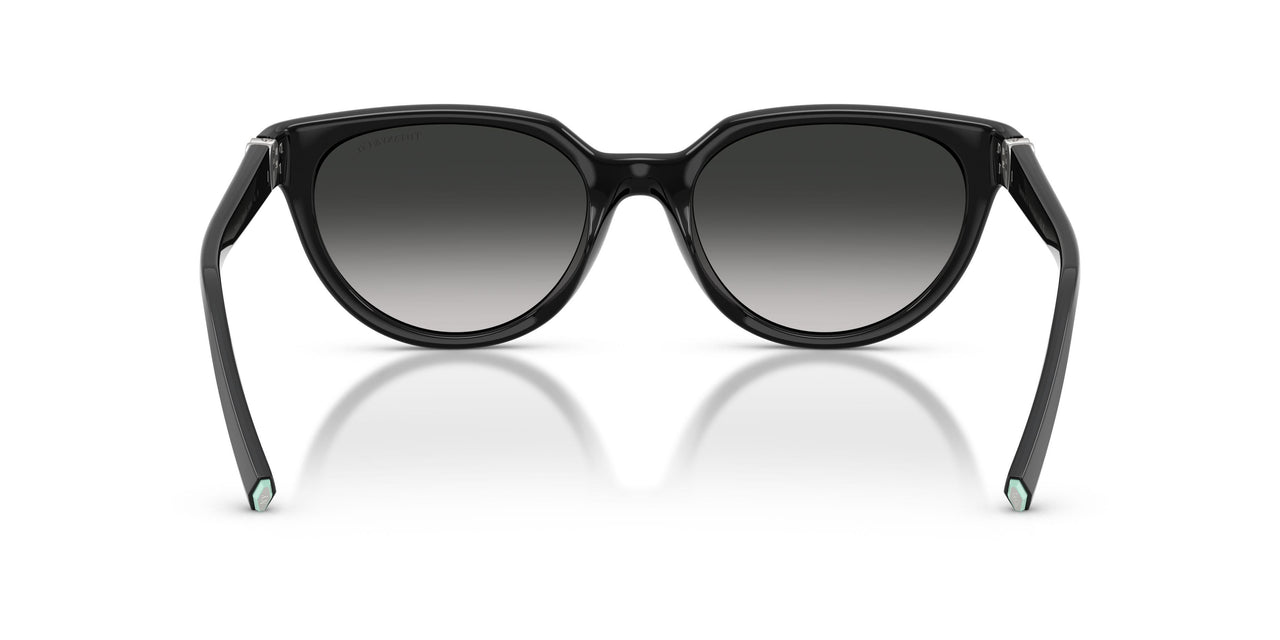 80013C - Black - Grey Gradient