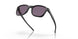 901801 - Black - Prizm Grey