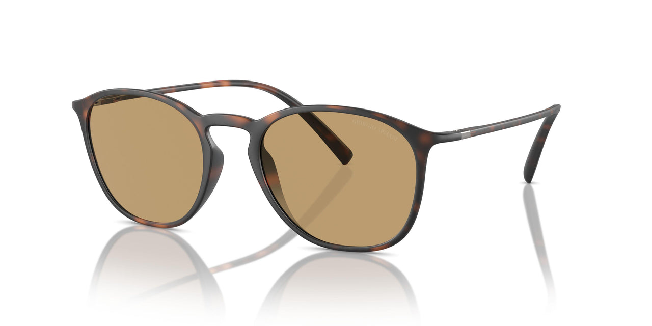 508973 - Tortoise - Dark Brown