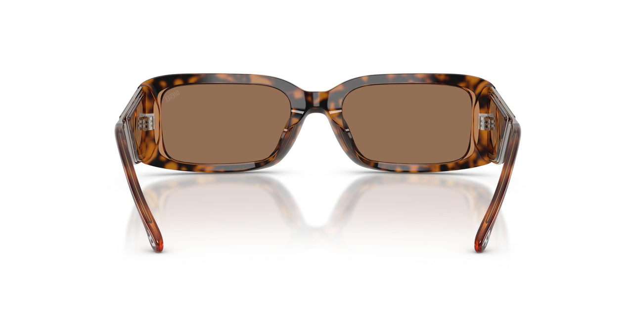 205073 - Tortoise - Dark Brown