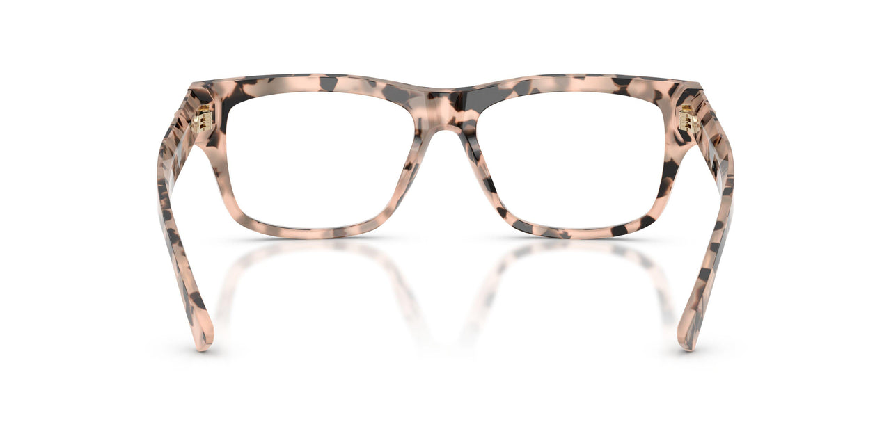 5080 - Tortoise