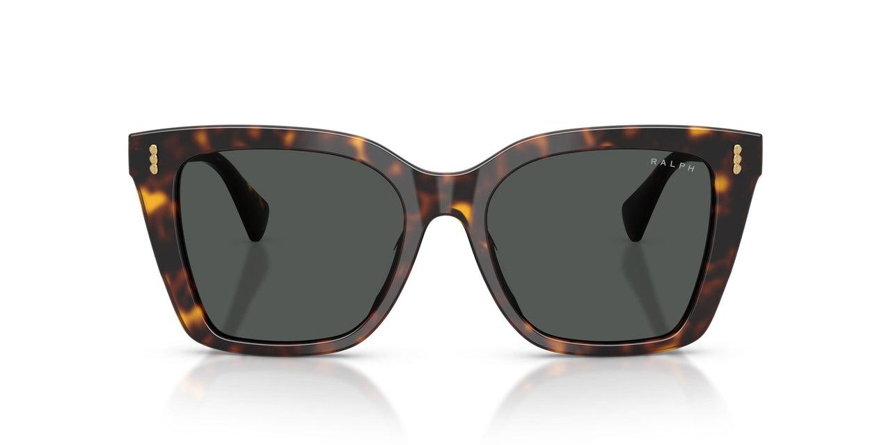 500387 - Tortoise - Grey