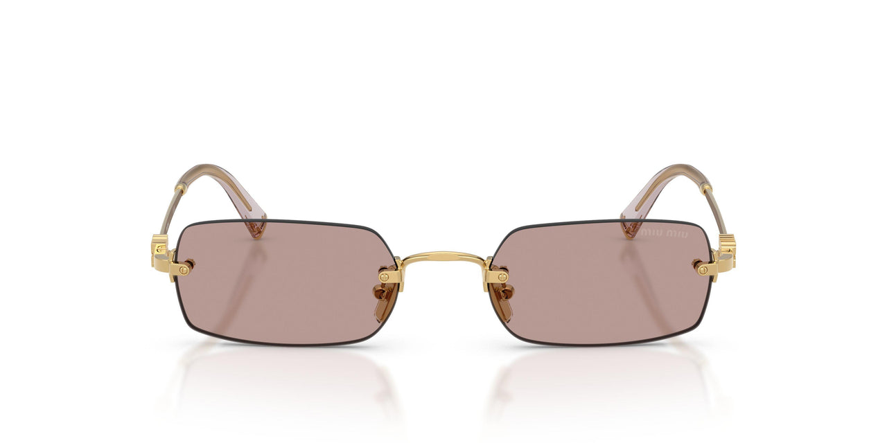 5AK20I - Gold - Light Purple Brown