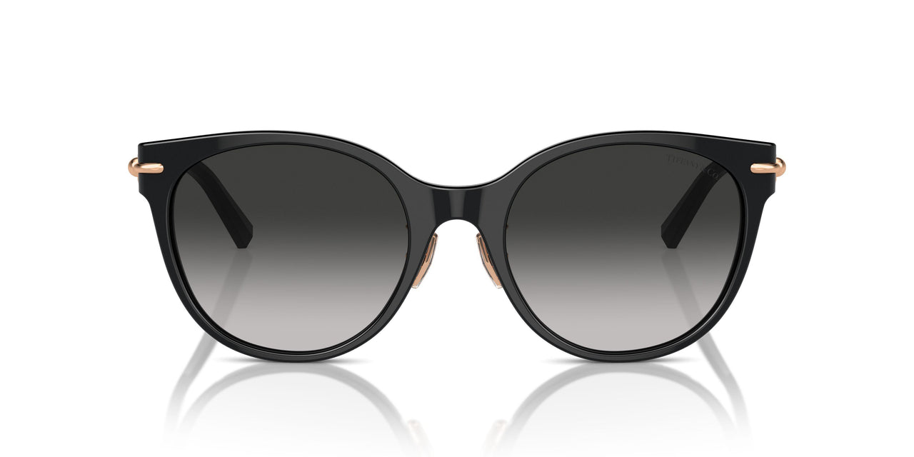 80013C - Black - Grey Gradient