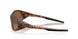 943839 - Brown - Prizm Tungsten