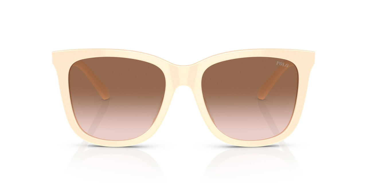 605713 - Grey - Gradient Brown