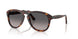 24/M3 - Tortoise - Grey Gradient Polarized